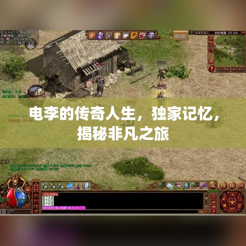 电李的传奇人生，独家记忆，揭秘非凡之旅