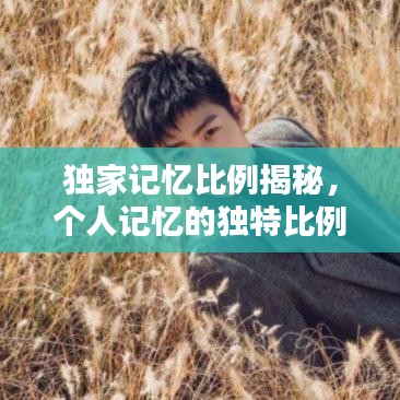 独家记忆比例揭秘,个人记忆的独特比例探索