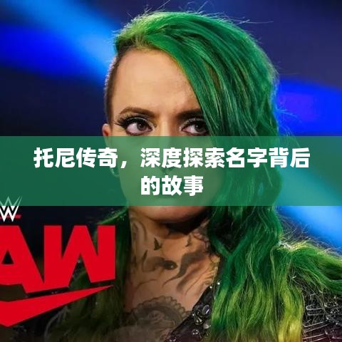 托尼传奇,深度探索名字背后的故事