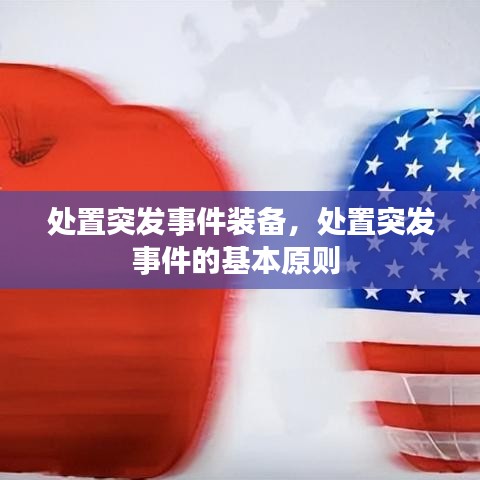 处置突发事件装备，处置突发事件的基本原则 