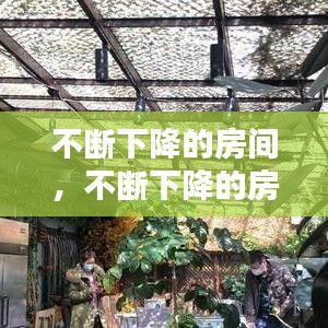 新闻资讯 第245页