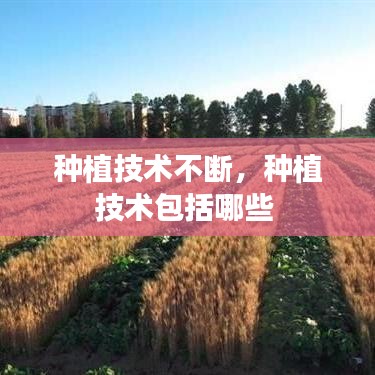 种植技术不断，种植技术包括哪些 