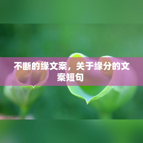 不断的缘文案,关于缘分的文案短句