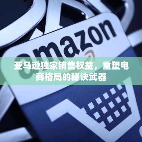 亚马逊独家销售权益，重塑电商格局的秘诀武器