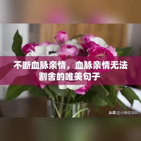 不断血脉亲情，血脉亲情无法割舍的唯美句子 