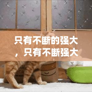 只有不断的强大，只有不断强大有能力才 