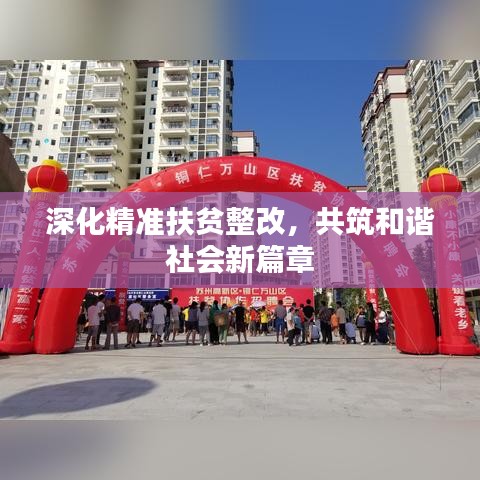 深化精准扶贫整改，共筑和谐社会新篇章