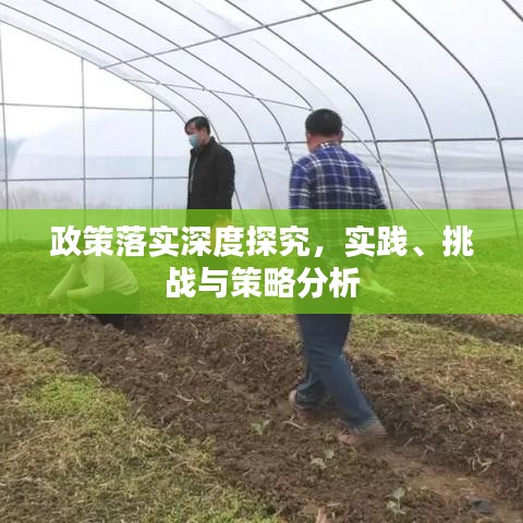 政策落实深度探究,实践、挑战与策略分析