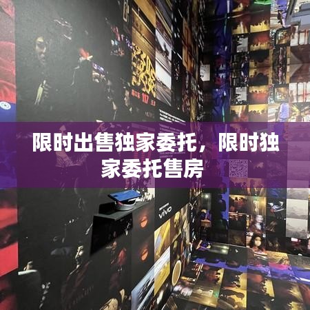 限时出售独家委托,限时独家委托售房