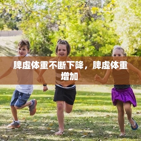 脾虚体重不断下降，脾虚体重增加 