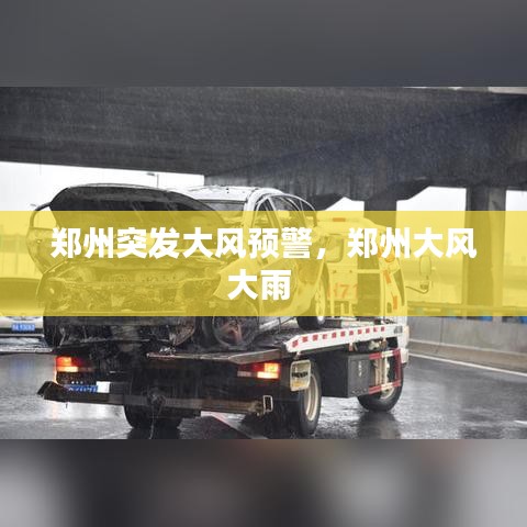 郑州突发大风预警,郑州大风大雨