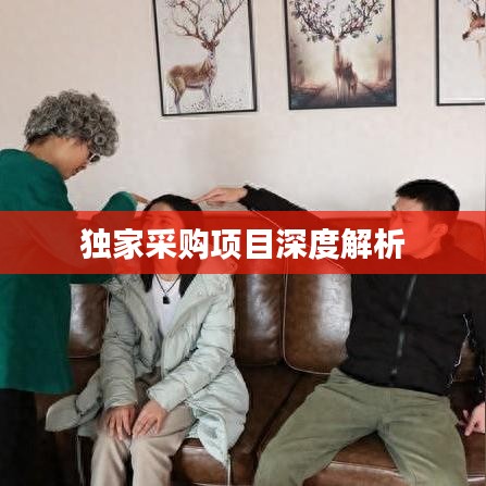 独家采购项目深度解析