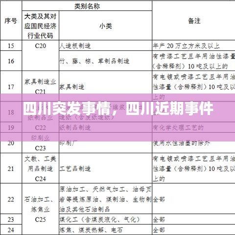 四川突发事情,四川近期事件