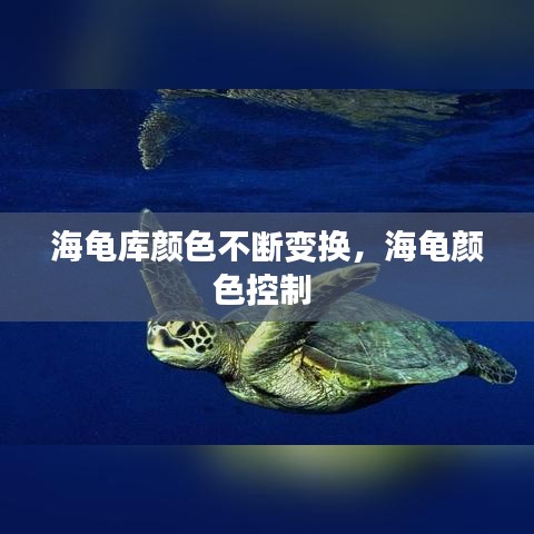 海龟库颜色不断变换,海龟颜色控制