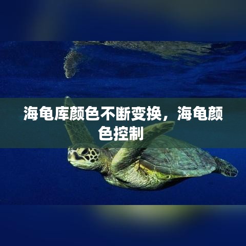 海龟库颜色不断变换,海龟颜色控制