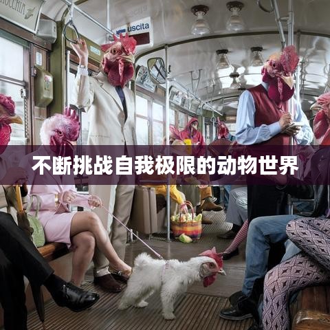 不断挑战自我极限的动物世界