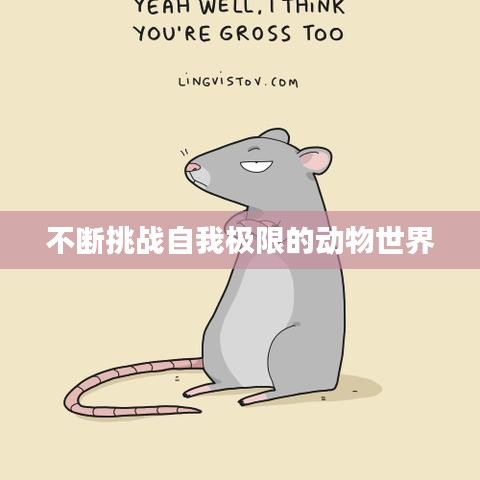 不断挑战自我极限的动物世界