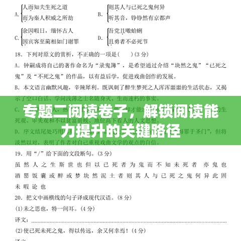 专题二阅读卷子,解锁阅读能力提升的关键路径