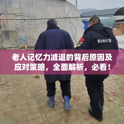 老人记忆力减退的背后原因及应对策略,全面解析,必看!