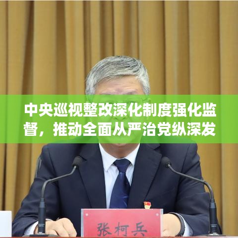中央巡视整改深化制度强化监督,推动全面从严治党纵深发展