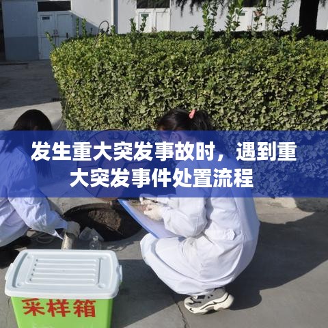 发生重大突发事故时，遇到重大突发事件处置流程 