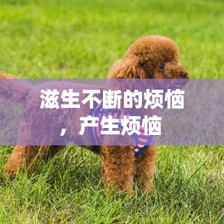 滋生不断的烦恼,产生烦恼