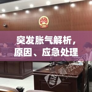 突发胀气解析，原因、应急处理与预防策略