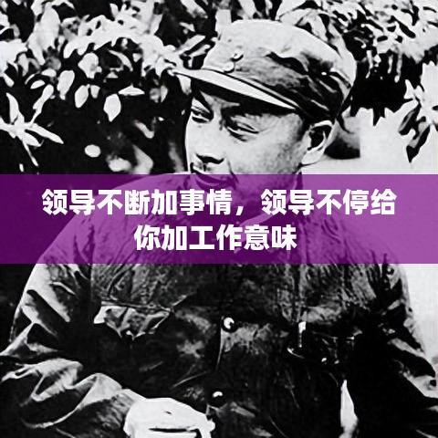 领导不断加事情,领导不停给你加工作意味