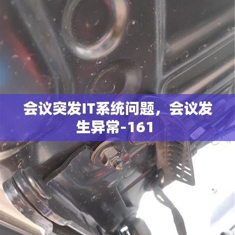 会议突发IT系统问题，会议发生异常-161 