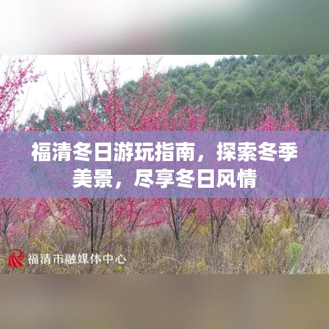 福清冬日游玩指南，探索冬季美景，尽享冬日风情