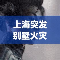 上海突发别墅火灾事件，上海别墅纵火杀妻 