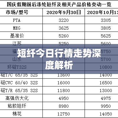 短纤今日行情走势深度解析