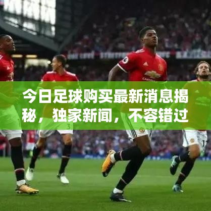 今日足球购买最新消息揭秘，独家新闻，不容错过！