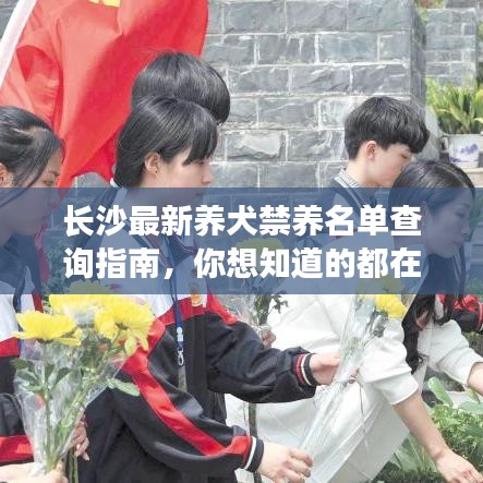 长沙最新养犬禁养名单查询指南，你想知道的都在这里！