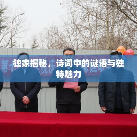 独家揭秘，诗词中的谜语与独特魅力