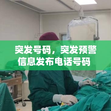 突发号码，突发预警信息发布电话号码 