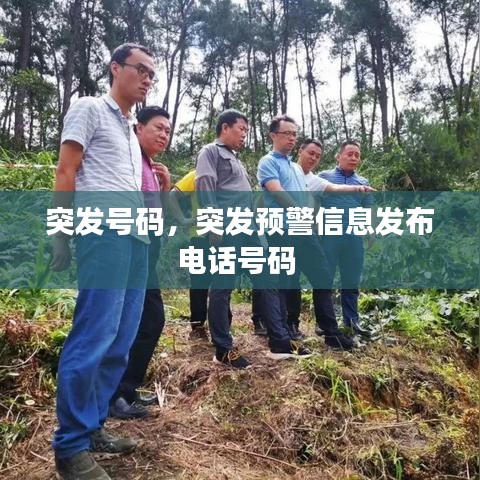 突发号码,突发预警信息发布电话号码