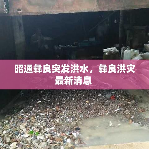 昭通彝良突发洪水，彝良洪灾最新消息 