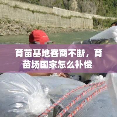育苗基地客商不断,育苗场国家怎么补偿