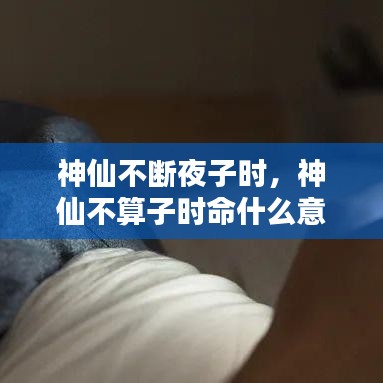 小家碧玉 第5页