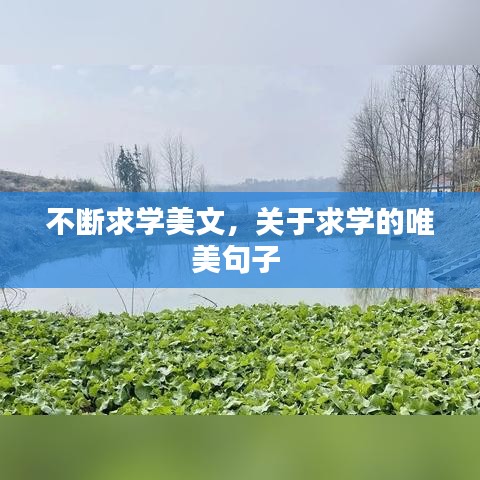 不断求学美文，关于求学的唯美句子 