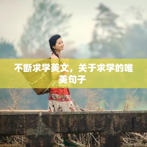 不断求学美文,关于求学的唯美句子