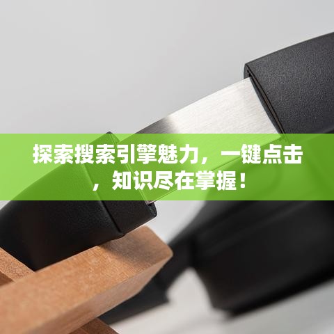 探索搜索引擎魅力,一键点击,知识尽在掌握!