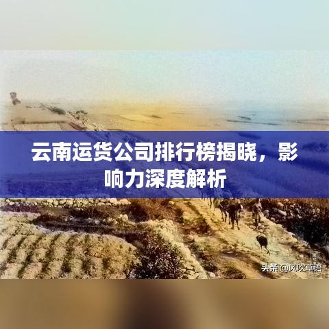云南运货公司排行榜揭晓，影响力深度解析