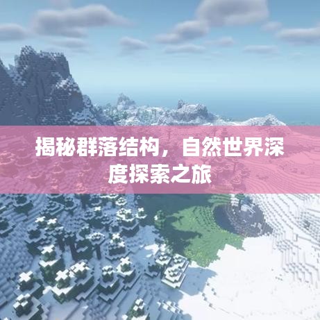 揭秘群落结构，自然世界深度探索之旅