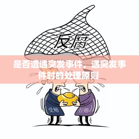 是否遭遇突发事件,遇突发事件时的处理原则