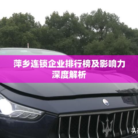 萍乡连锁企业排行榜及影响力深度解析