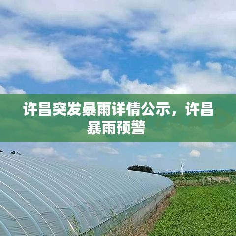 许昌突发暴雨详情公示,许昌暴雨预警