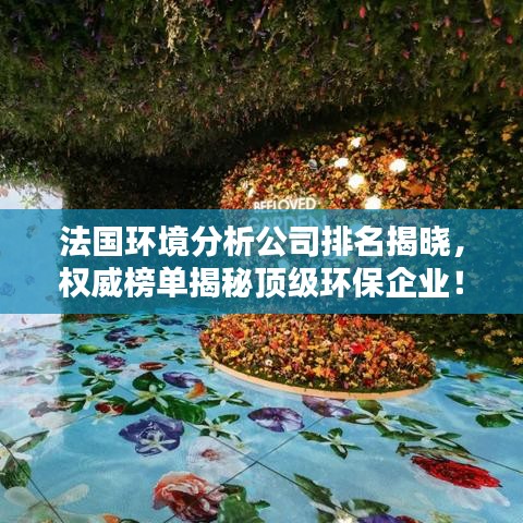 法国环境分析公司排名揭晓，权威榜单揭秘顶级环保企业！