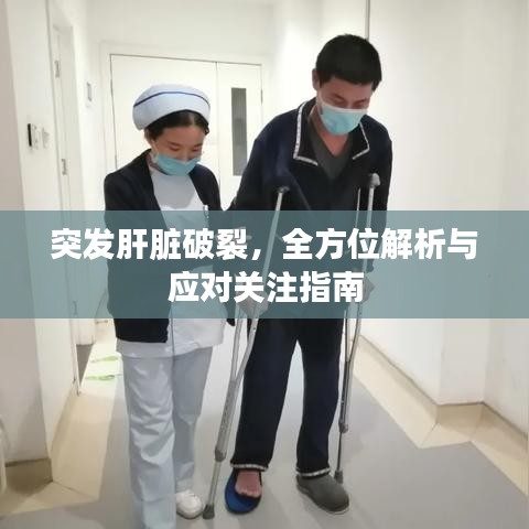 突发肝脏破裂，全方位解析与应对关注指南